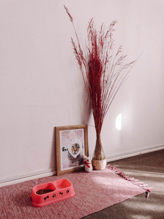 How to Set Up a Pet-Friendly Home Corner